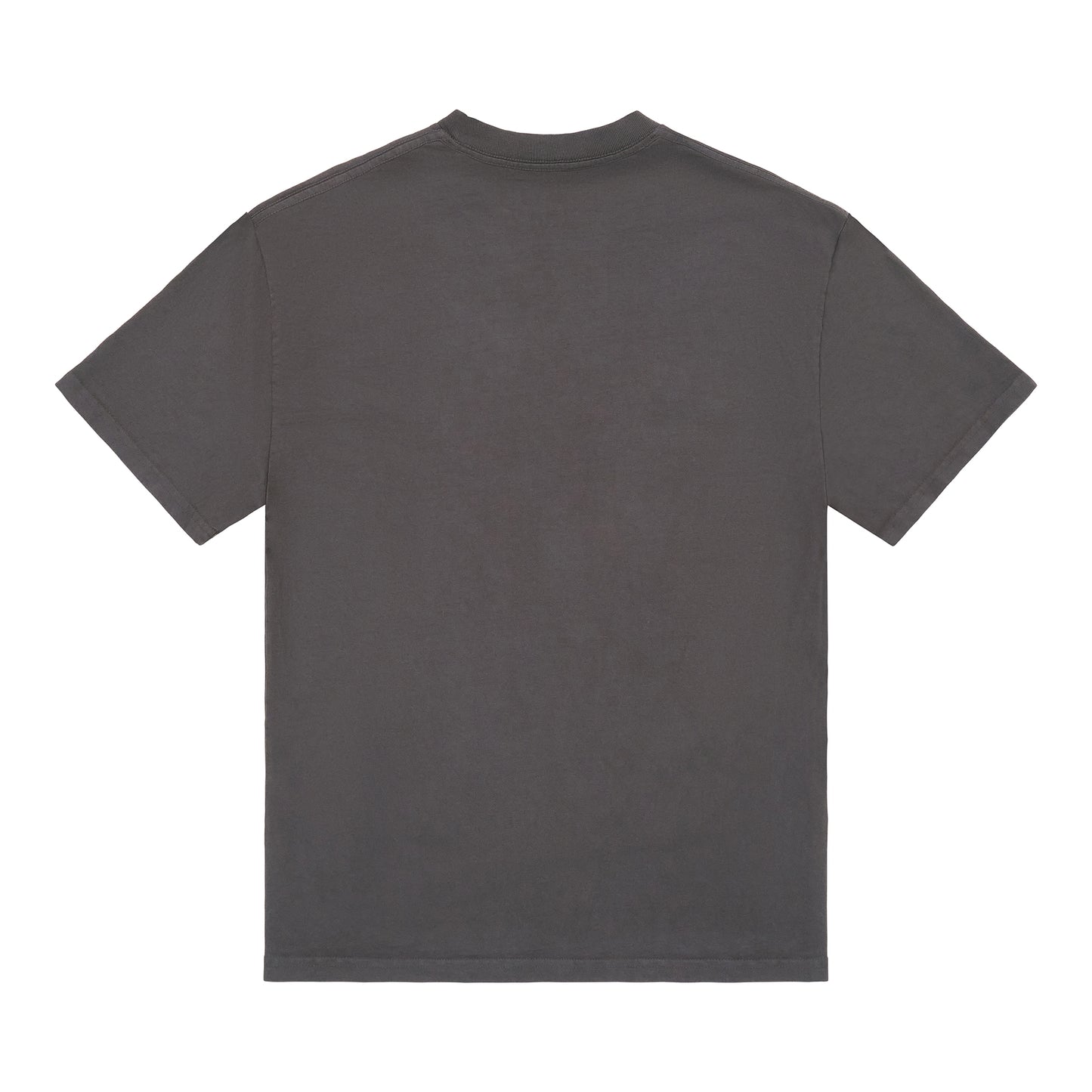 DEMON SLAYER SIBLING JUMBO PRINT SHIRT (VINTAGE GREY)