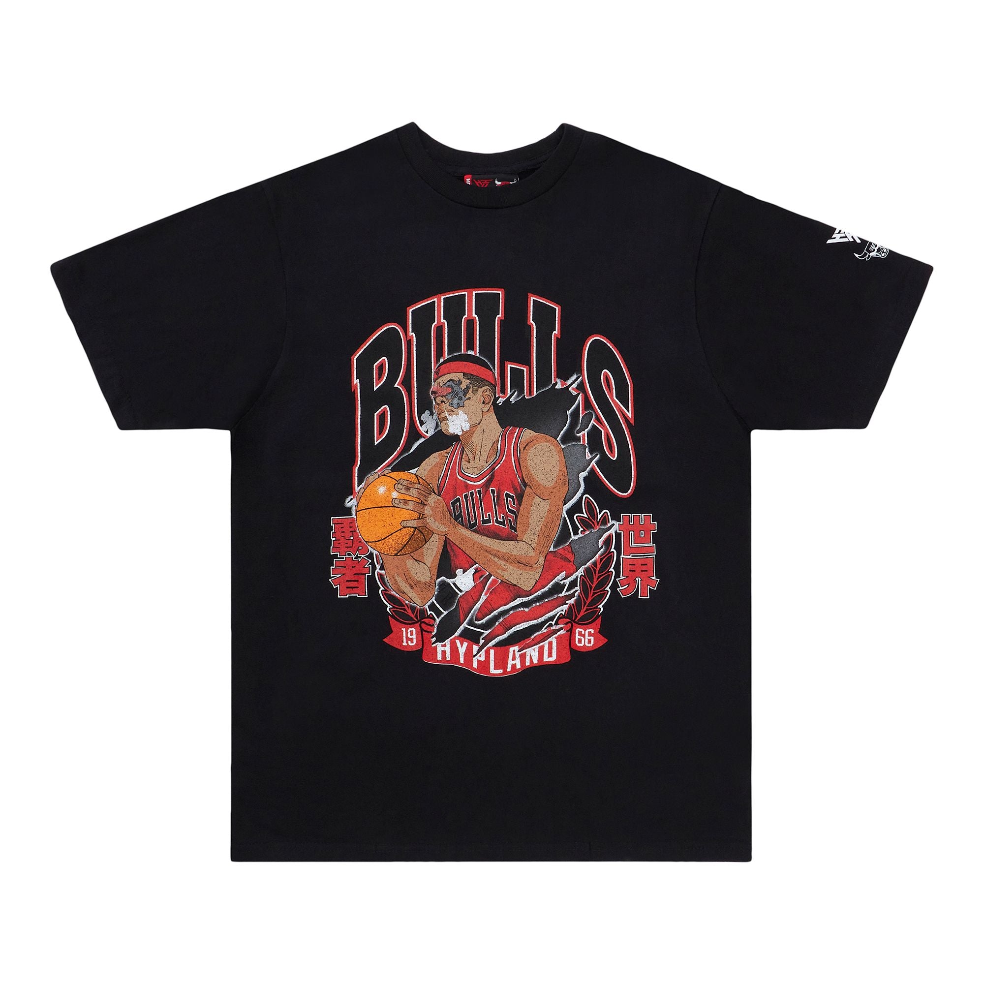 Vintage Chicago Bulls T-shirt NBA T-shirt Basketball -  Canada
