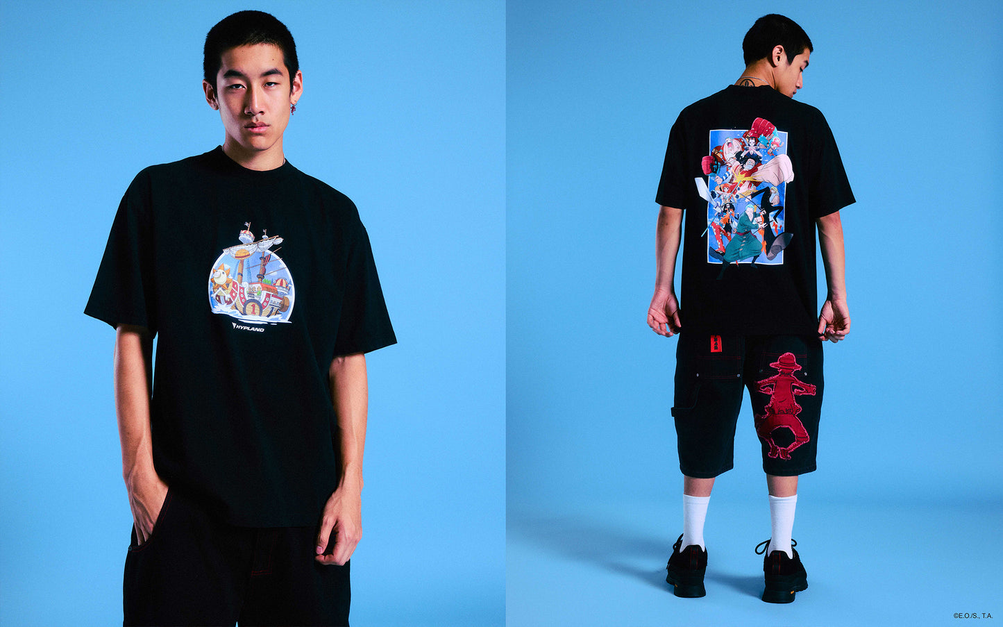 ONE PIECE THOUSAND SUNNY SHIRT (BLACK)